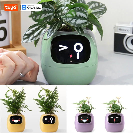 Tuya Ivy Smart Planter,Endless Fun Over 49 Rich Expressions,7 smart sensors,AI Chips Make Raising Plants Easy and Fun exovai.com