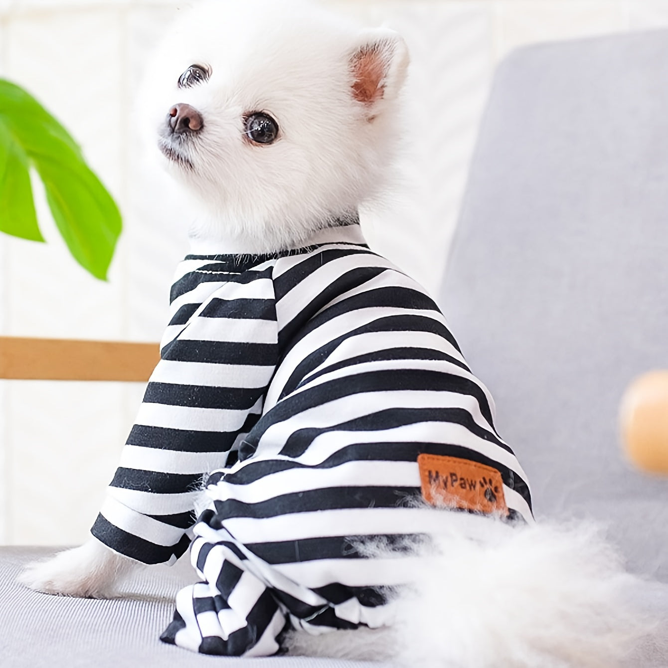 Year-Round Cozy Knit Pajamas for Small Dogs & Cats - Easy Pullover, Stretch Comfort, Stylish Stripes exovai.com