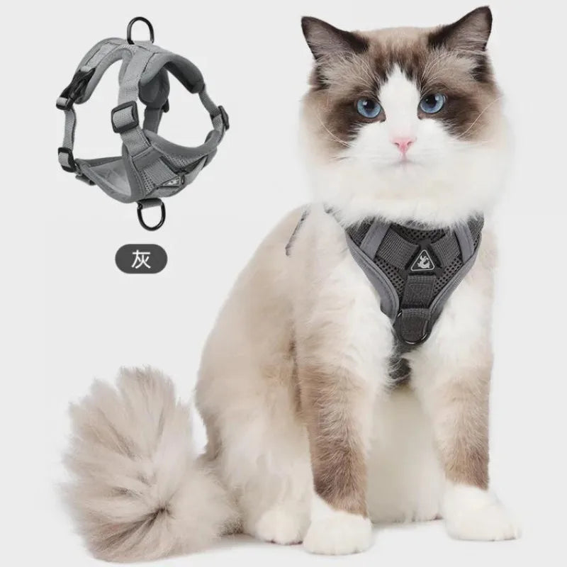 Reflective Cat Harness and Leash Sets Breathable Mesh Pet Harnesses for Small Dogs Cats Kitten Accessories collier chat exovai.com