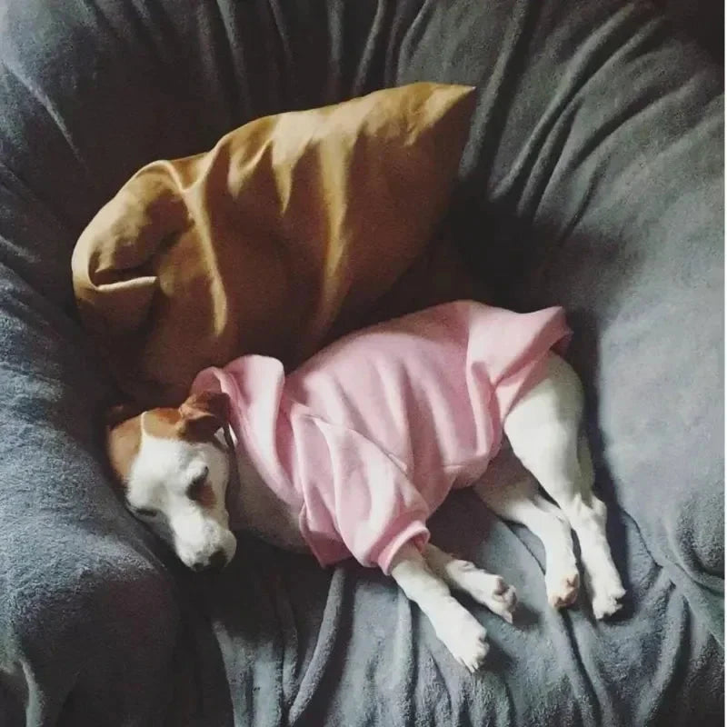 Dog Clothes Hoodies The Dog Face Wind Coat Warm for Small Large Dogs Jacket Sweatshirt French Bulldog Jacket Clothing exovai.com