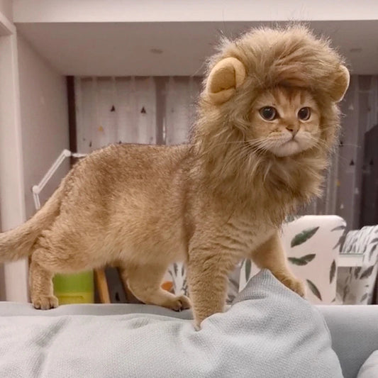 Pet Hairpiece - Humorous Lion Mane Headgear for Dogs and Cats, Adjustable Costume Accessories for Fun Dress-up and Play exovai.com