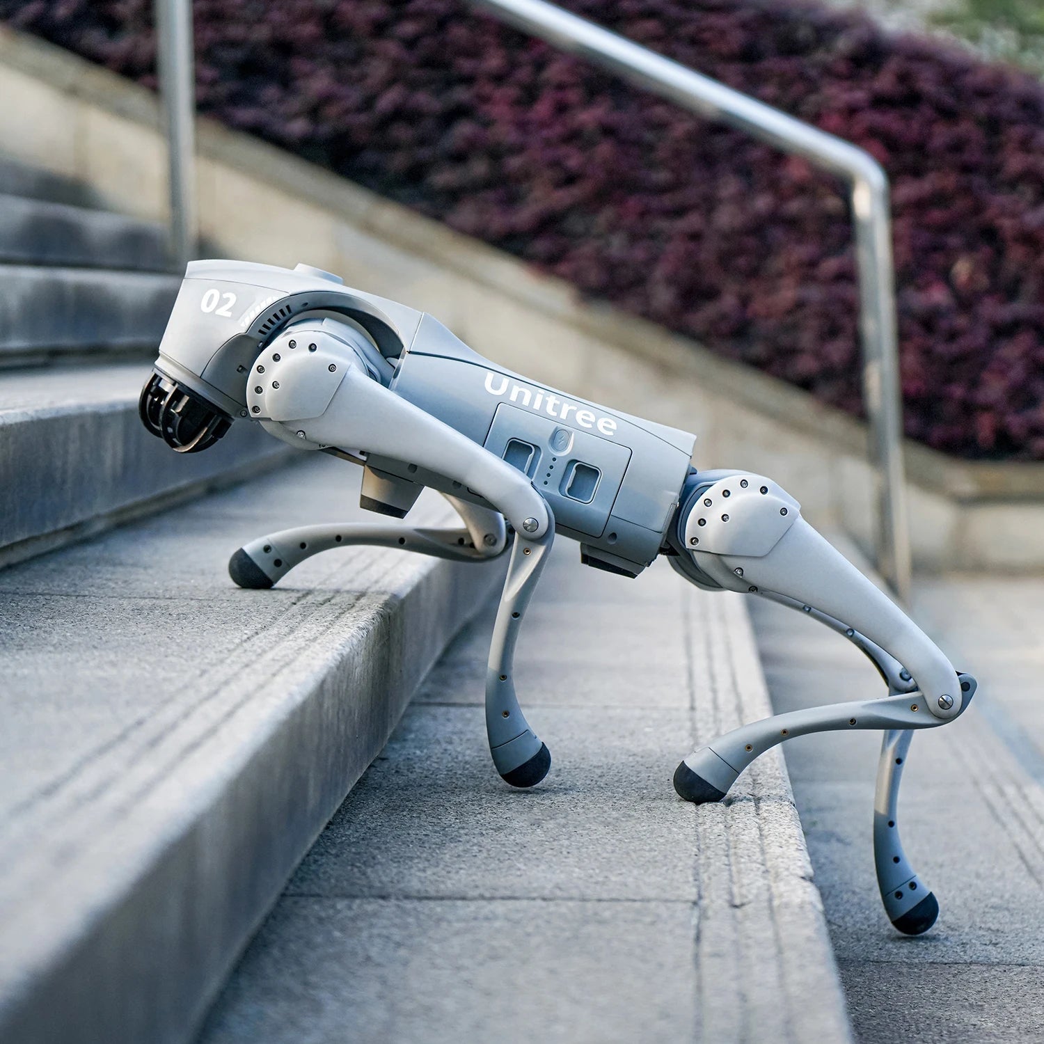 Unitree Go2 Robot Dog Quadruped Robotics for Adults Embodied AI（Go2 Air） exovai.com