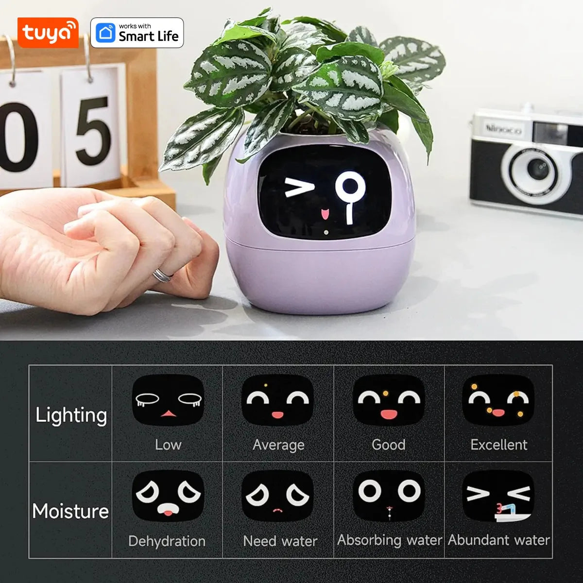 Tuya Ivy Smart Planter,Endless Fun Over 49 Rich Expressions,7 smart sensors,AI Chips Make Raising Plants Easy and Fun exovai.com