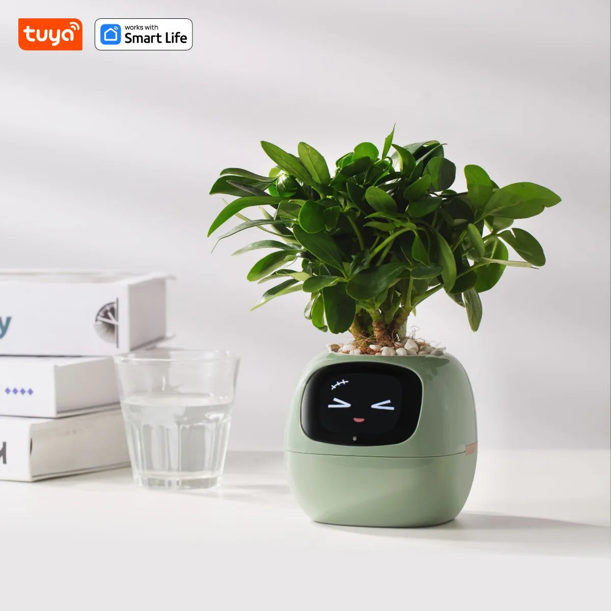 Tuya Ivy Smart Planter,Endless Fun Over 49 Rich Expressions,7 smart sensors,AI Chips Make Raising Plants Easy and Fun exovai.com