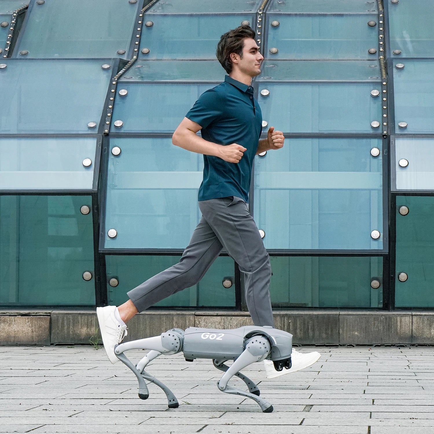 Unitree Go2 Robot Dog Quadruped Robotics for Adults Embodied AI（Go2 Air） exovai.com