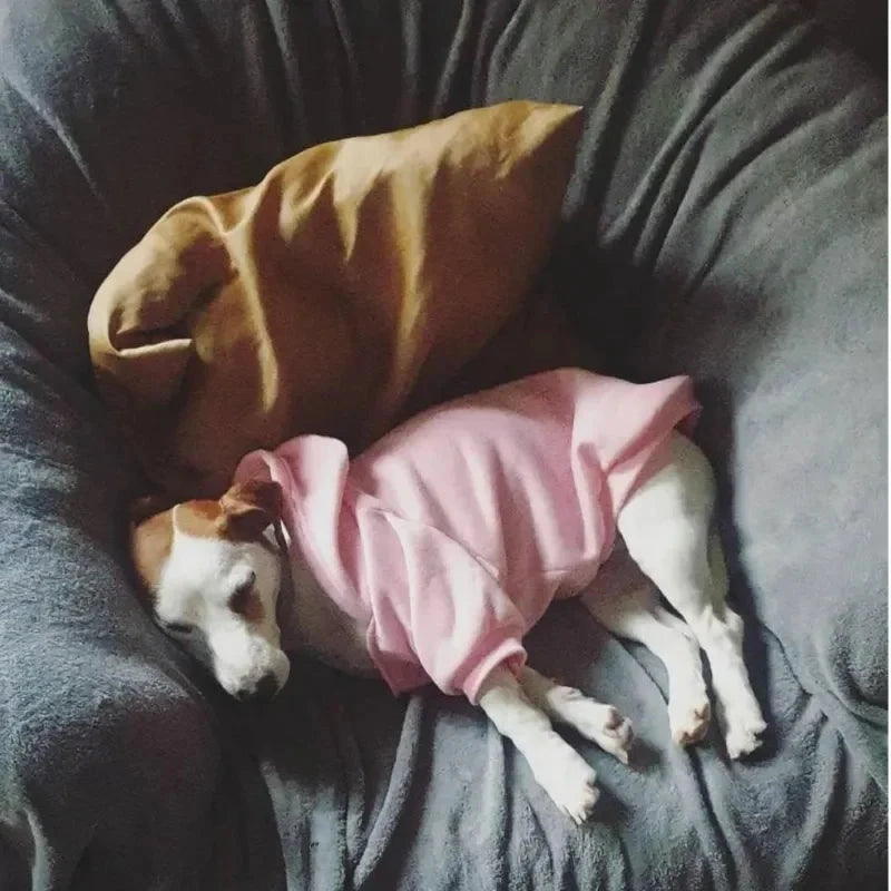 Dog Clothes Hoodies The Dog Face Wind Coat Warm for Small Large Dogs Jacket Sweatshirt French Bulldog Jacket Clothing exovai.com