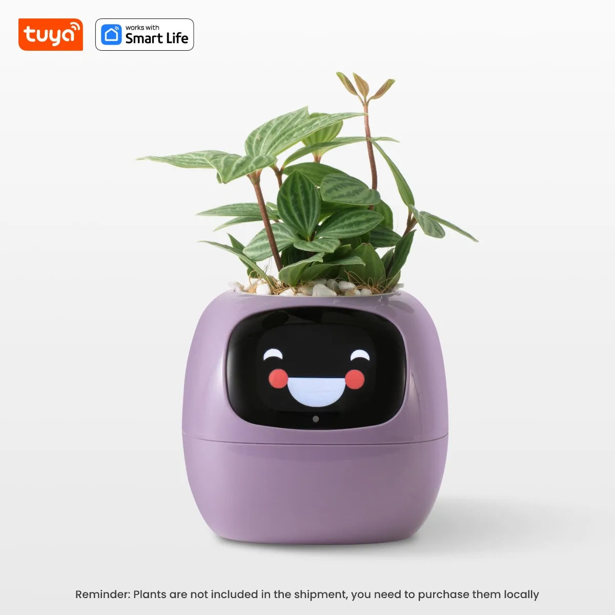 Tuya Ivy Smart Planter,Endless Fun Over 49 Rich Expressions,7 smart sensors,AI Chips Make Raising Plants Easy and Fun exovai.com
