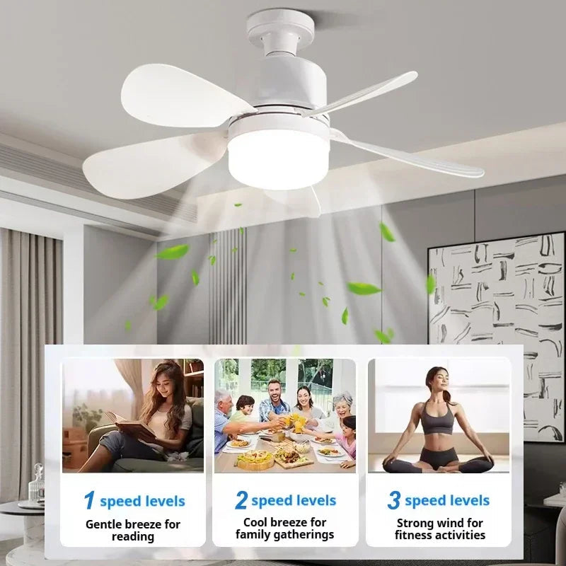 Ceiling Fans with Lights 16 Inch Fan Light With Remote Control Dimmable Noiseless White Ceiling Fan for Kitchen Office Bathroom exovai.com