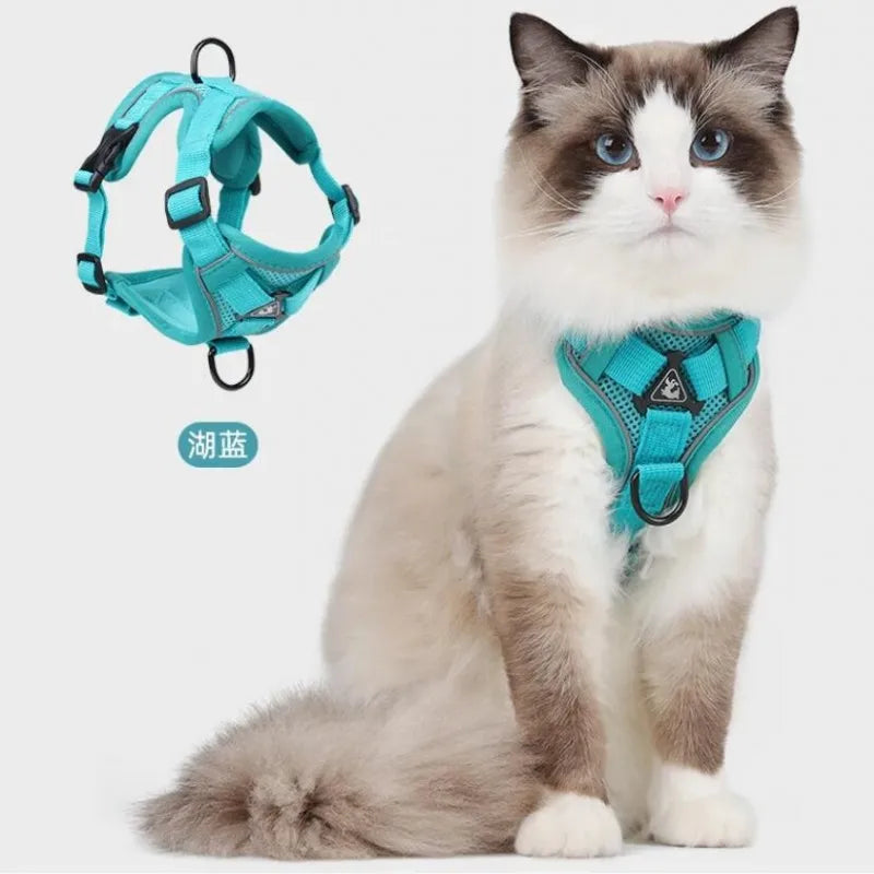 Reflective Cat Harness and Leash Sets Breathable Mesh Pet Harnesses for Small Dogs Cats Kitten Accessories collier chat exovai.com