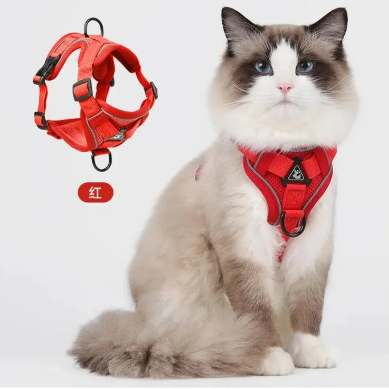Reflective Cat Harness and Leash Sets Breathable Mesh Pet Harnesses for Small Dogs Cats Kitten Accessories collier chat exovai.com